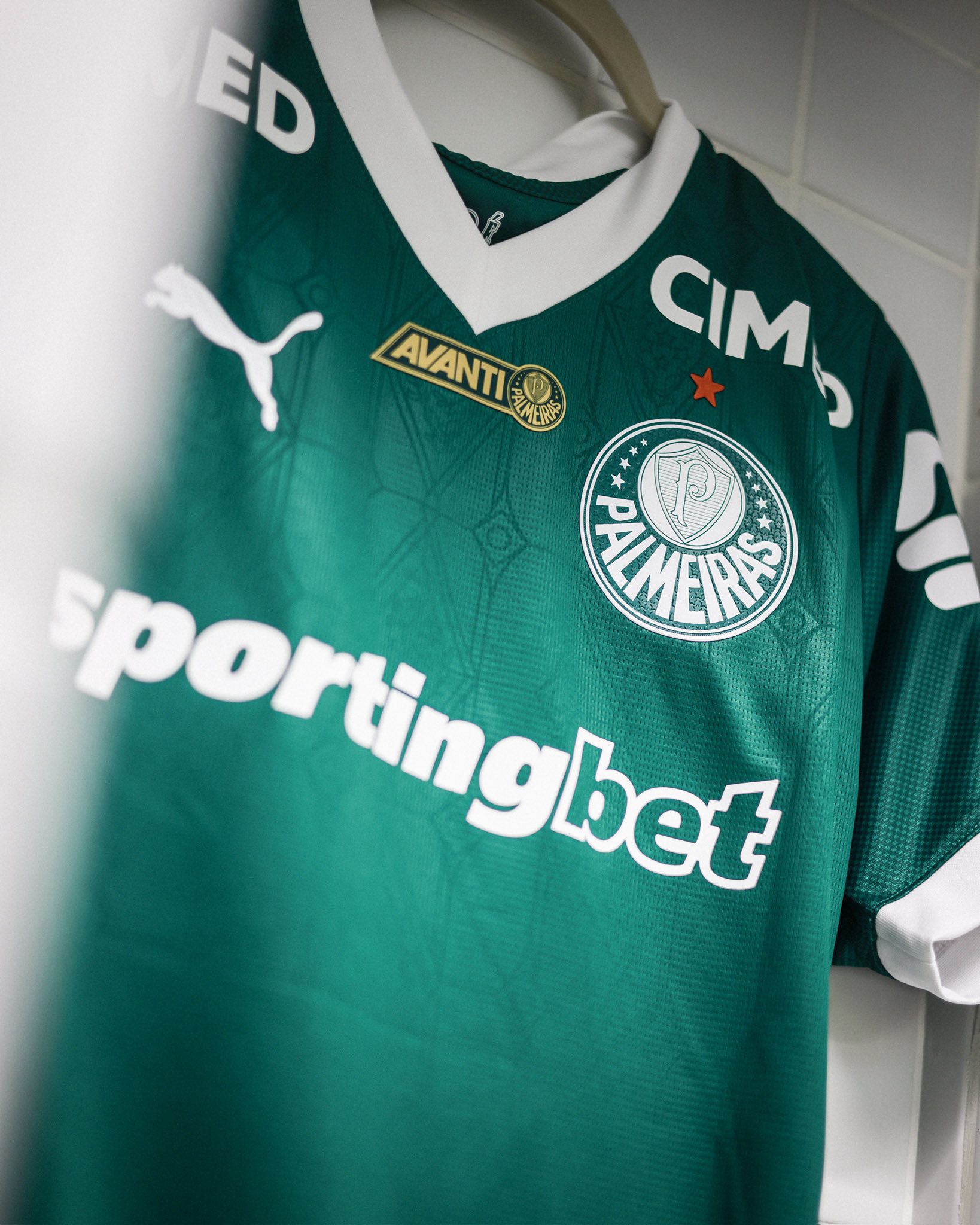 SANTOS 1 X 0 PALMEIRAS CHORANDO POR PENALTI PALMEIRAS PERDE TANBÉM A LIDERANÇA